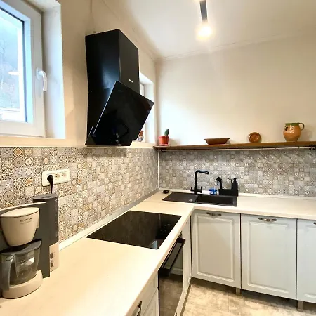 Apartment 180-degree & Forest View Brasov