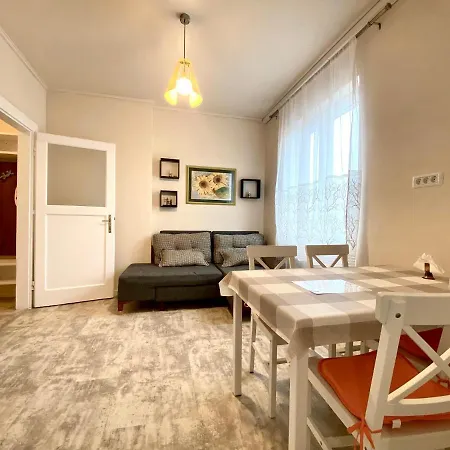 Apartment 180-degree & Forest View Brasov
