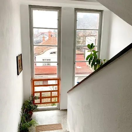 180-degree & Forest View * Brasov