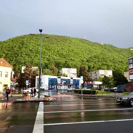 180-degree & Forest View