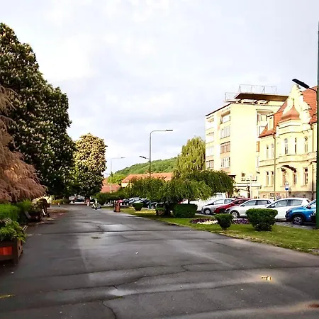180-degree & Forest View Apartment *
